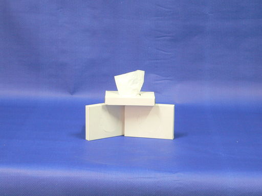 Higiéniai tasak 25 db/doboz, 48 doboz/karton, tartó doboz mérete: 9x12,5 cm - 1024x768 pixel - 200214 byte